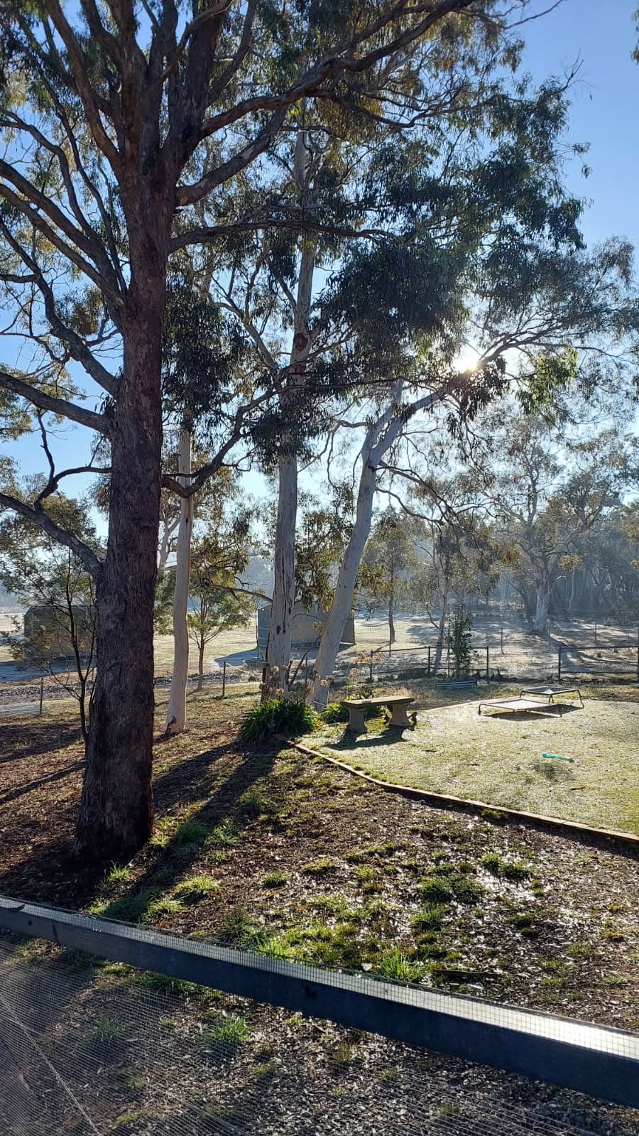 Photo of Blackthorn Park Equestrian