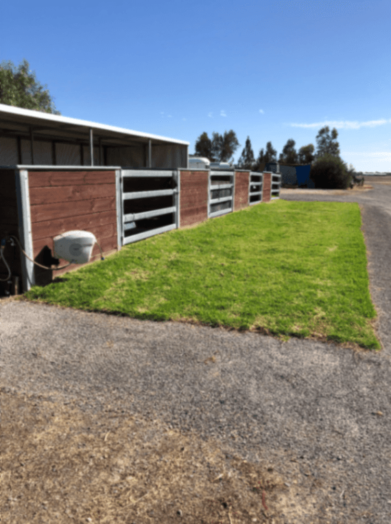 Thumbnail 5 of Riverside Equestrian Centre