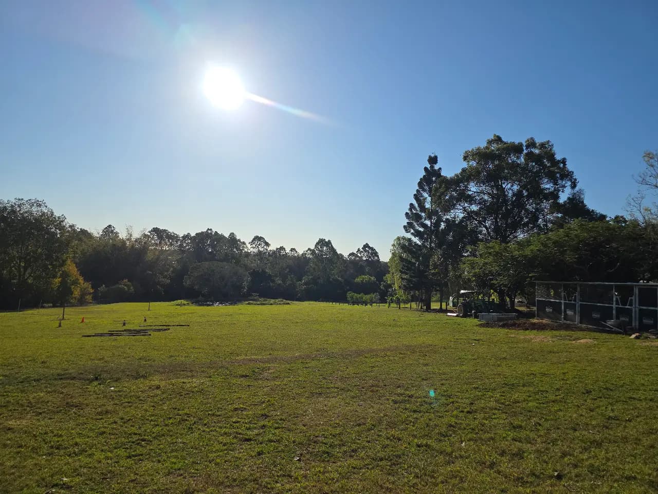 Thumbnail 2 of SHARE PADDOCK WITH GELDING