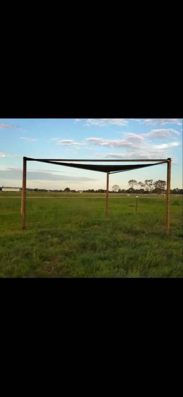 Thumbnail 6 of Professional Equine Agistment $60