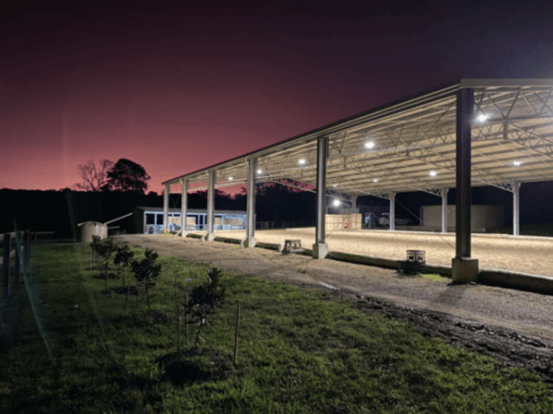 Photo of Balanced Dressage