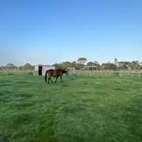 Photo of Fire safe paddocks open