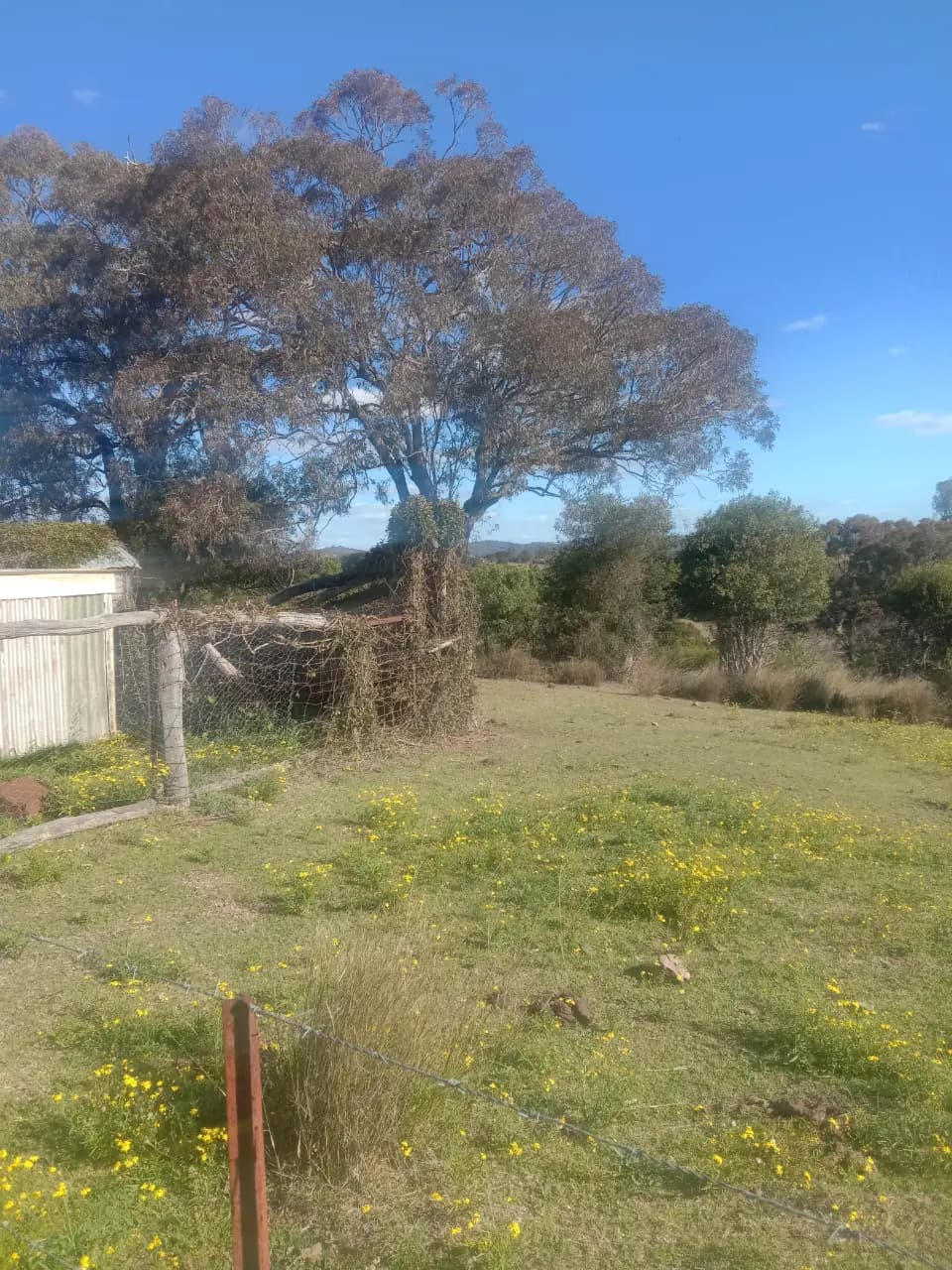 Thumbnail 2 of Kewarra