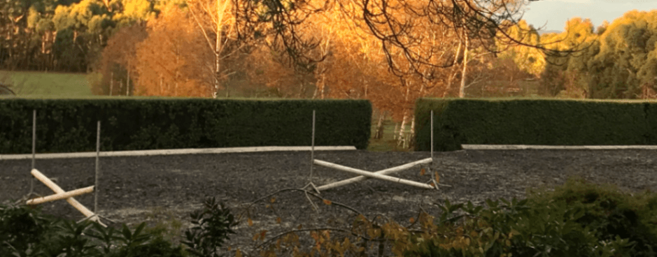 Thumbnail 2 of Blomfield