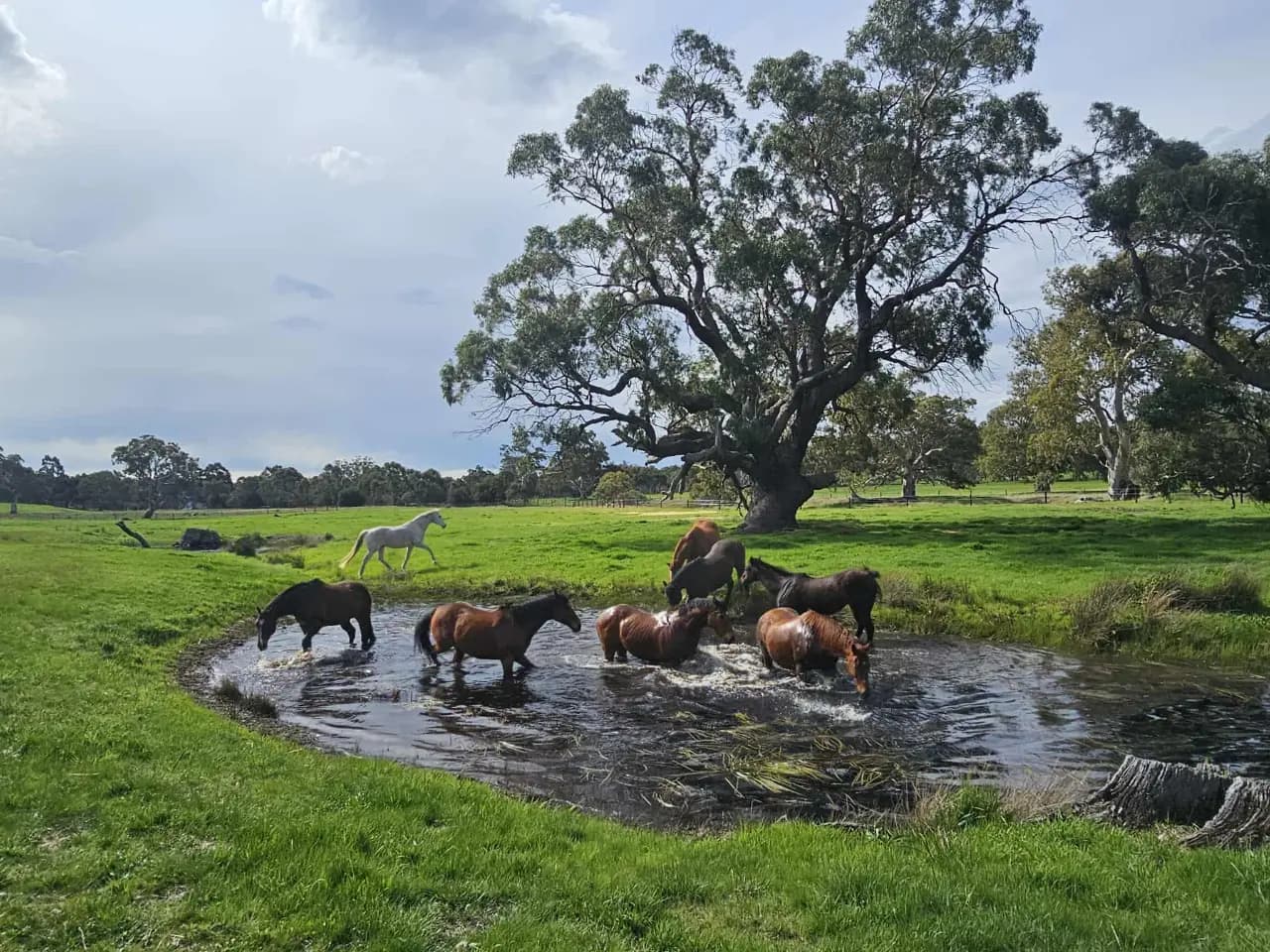 Photo of Yamba Farm