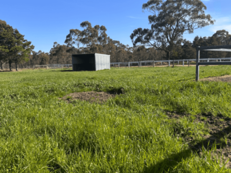 Photo of Diddly Squat Farm