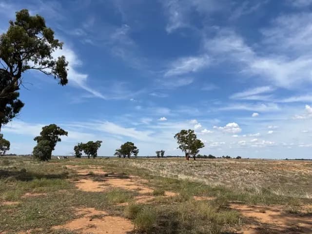 Photo of Darlington Point