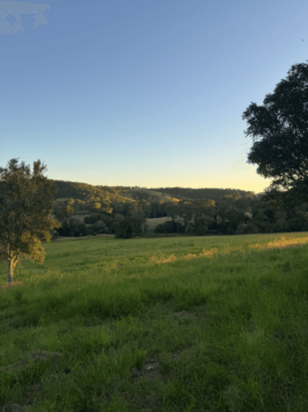 Photo of Chatsworth Lodge