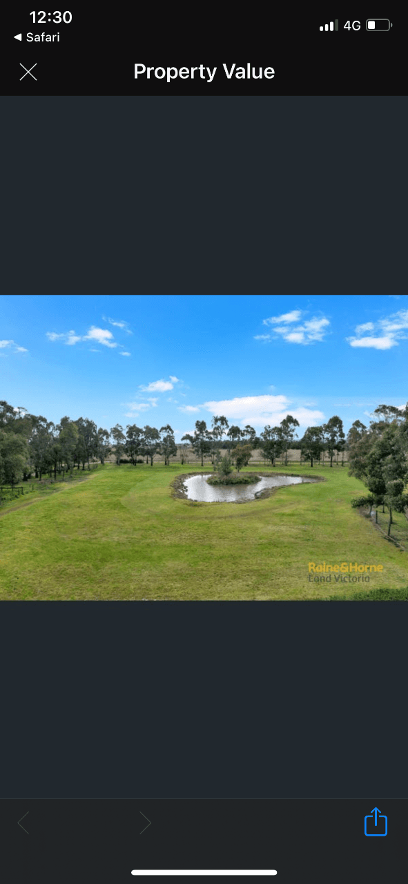 Photo of 1 acre paddock ready for 2-3 months agistment
