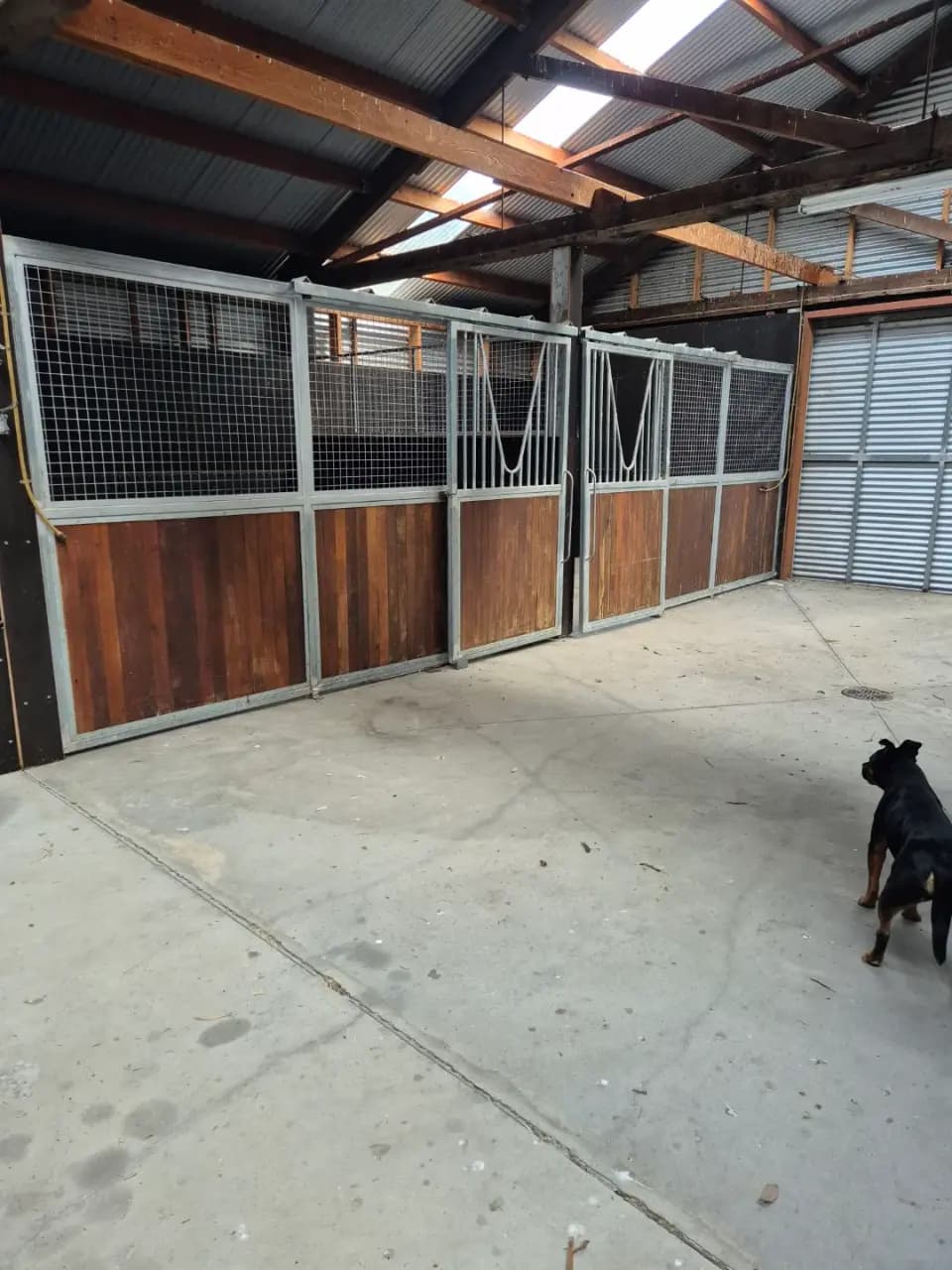 Thumbnail 6 of Quite River Sanctuary - Horse Agistment and care