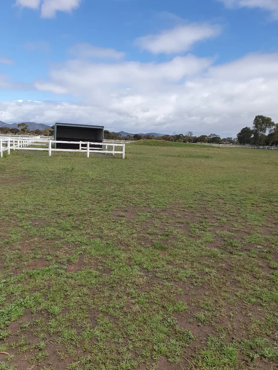 Photo of Quite River Sanctuary - Horse Agistment and care