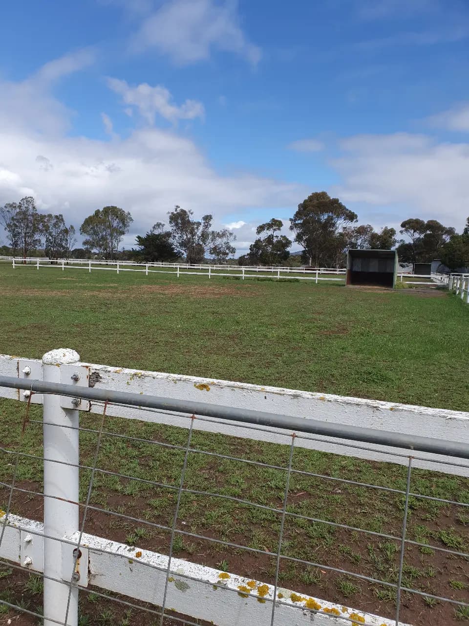 Thumbnail 2 of Quite River Sanctuary - Horse Agistment and care