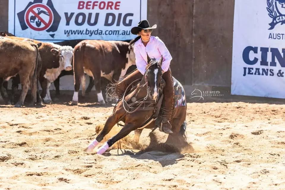 Thumbnail 5 of Horse Agistment & Exercising