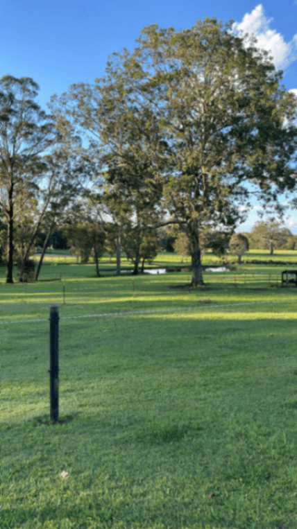 Photo of Finnegan’s Farm