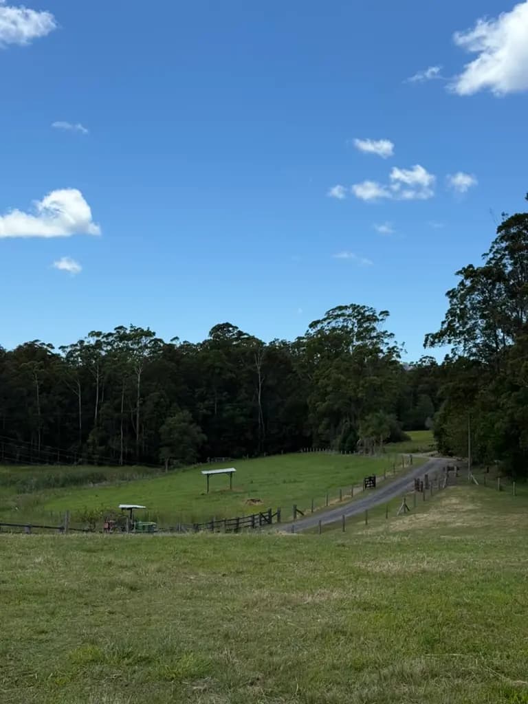 Thumbnail 2 of Lemon Grove Estate