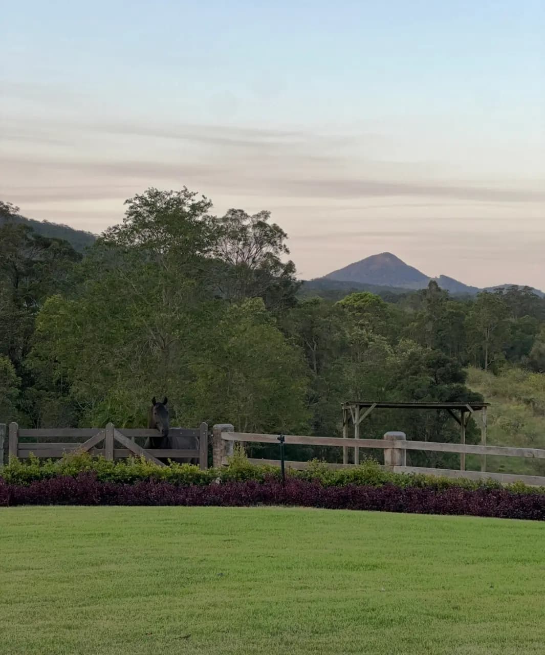 Photo of Lemon Grove Estate