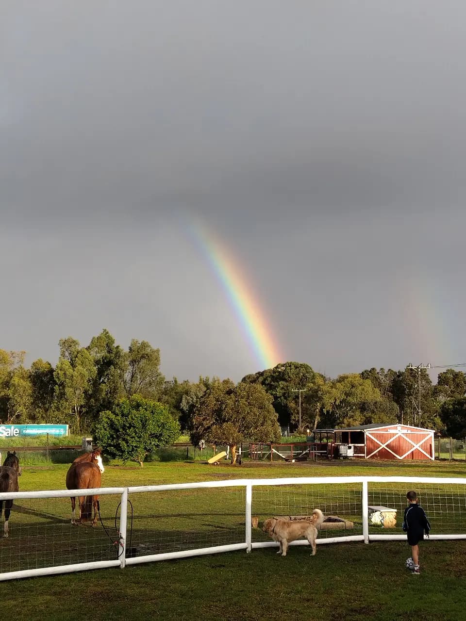 Photo of Faodail Farm (WA) Boutique Agistment