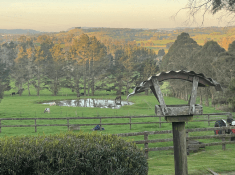 Photo of Summerdell