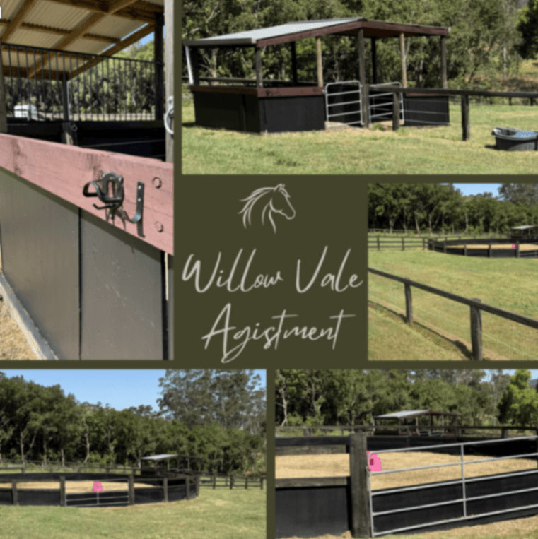 Photo of Willow Vale Agistment