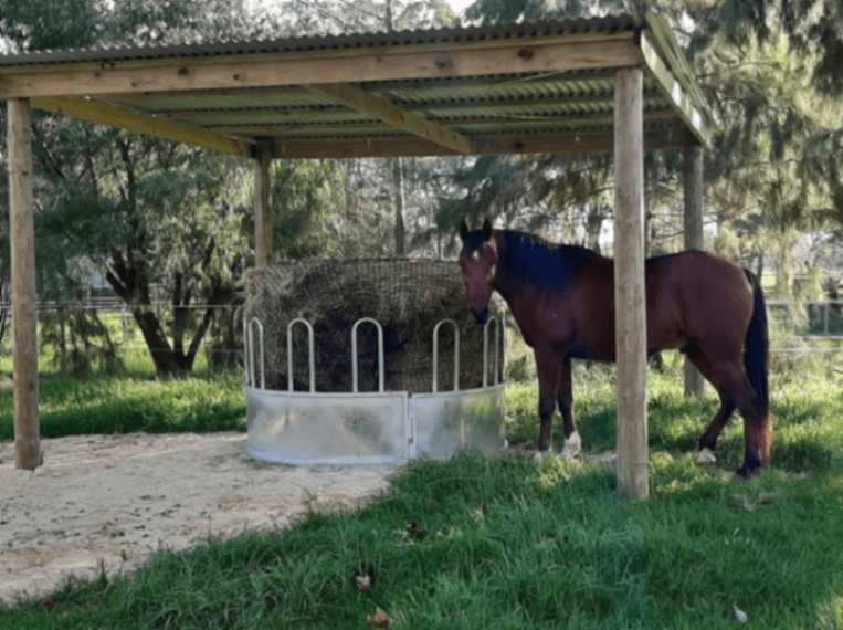 Thumbnail 3 of MJ & Co Horse Agistment