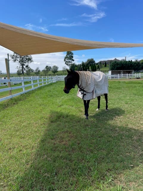 Thumbnail 6 of Valley View Equine