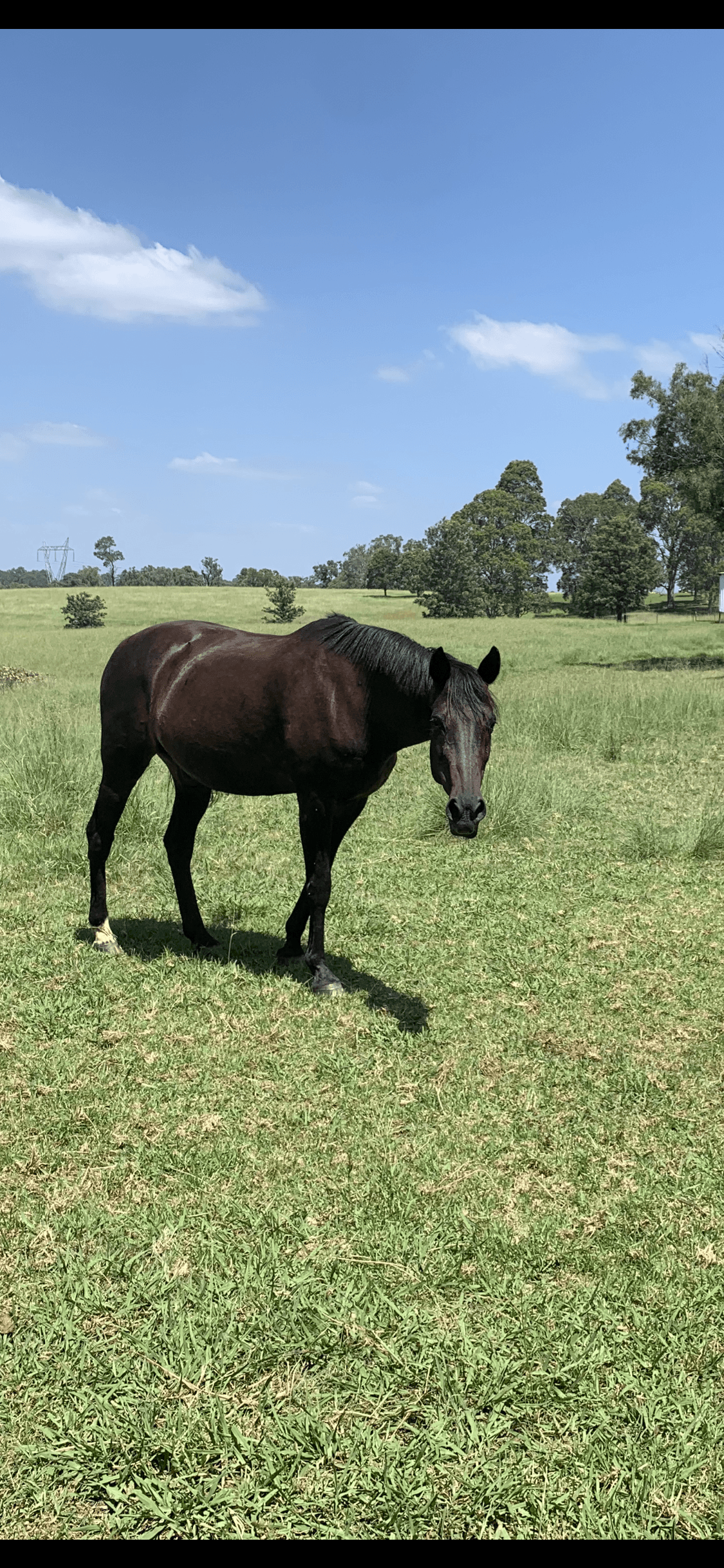 Thumbnail 4 of Valley View Equine