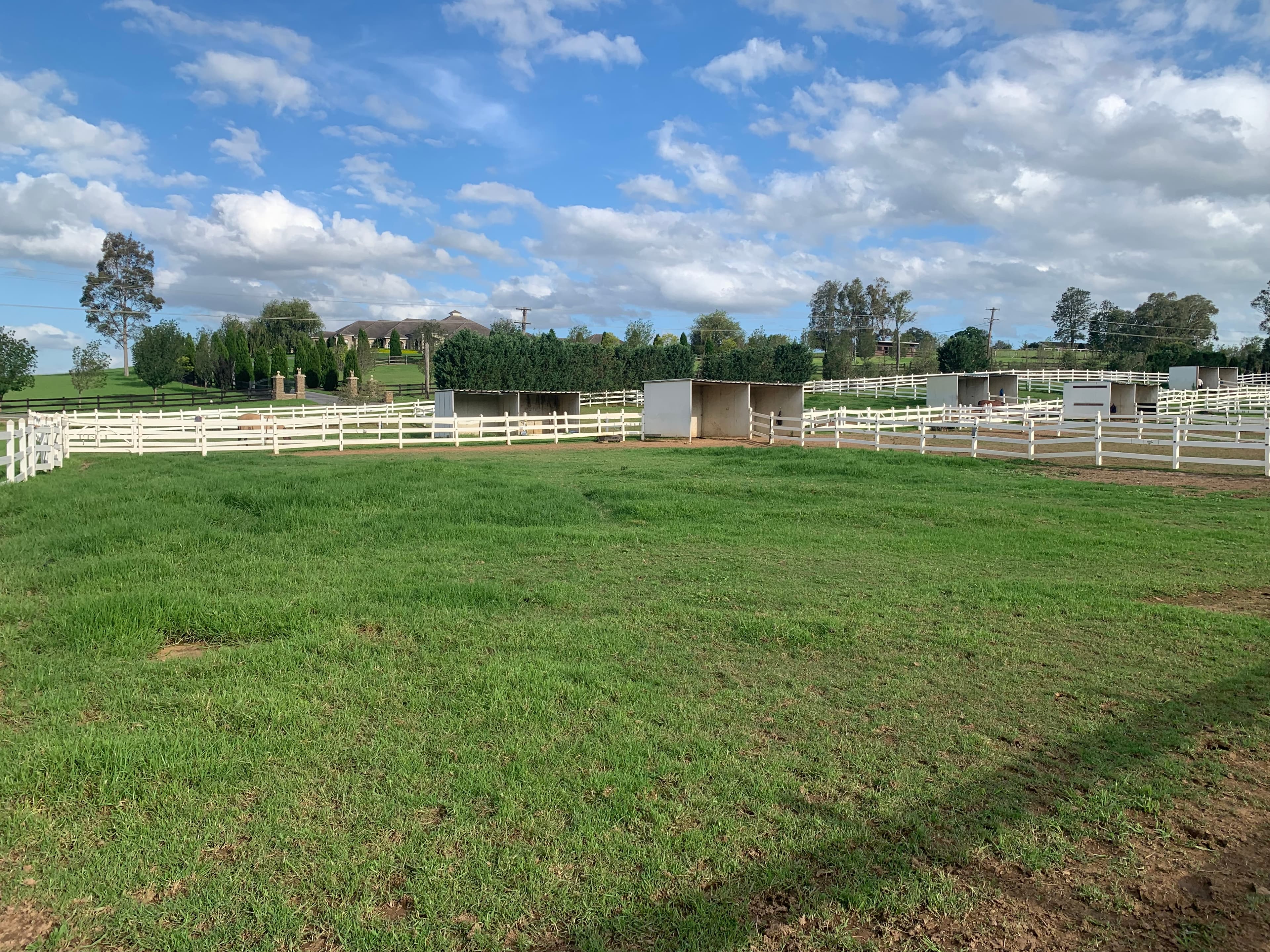 Thumbnail 3 of Valley View Equine