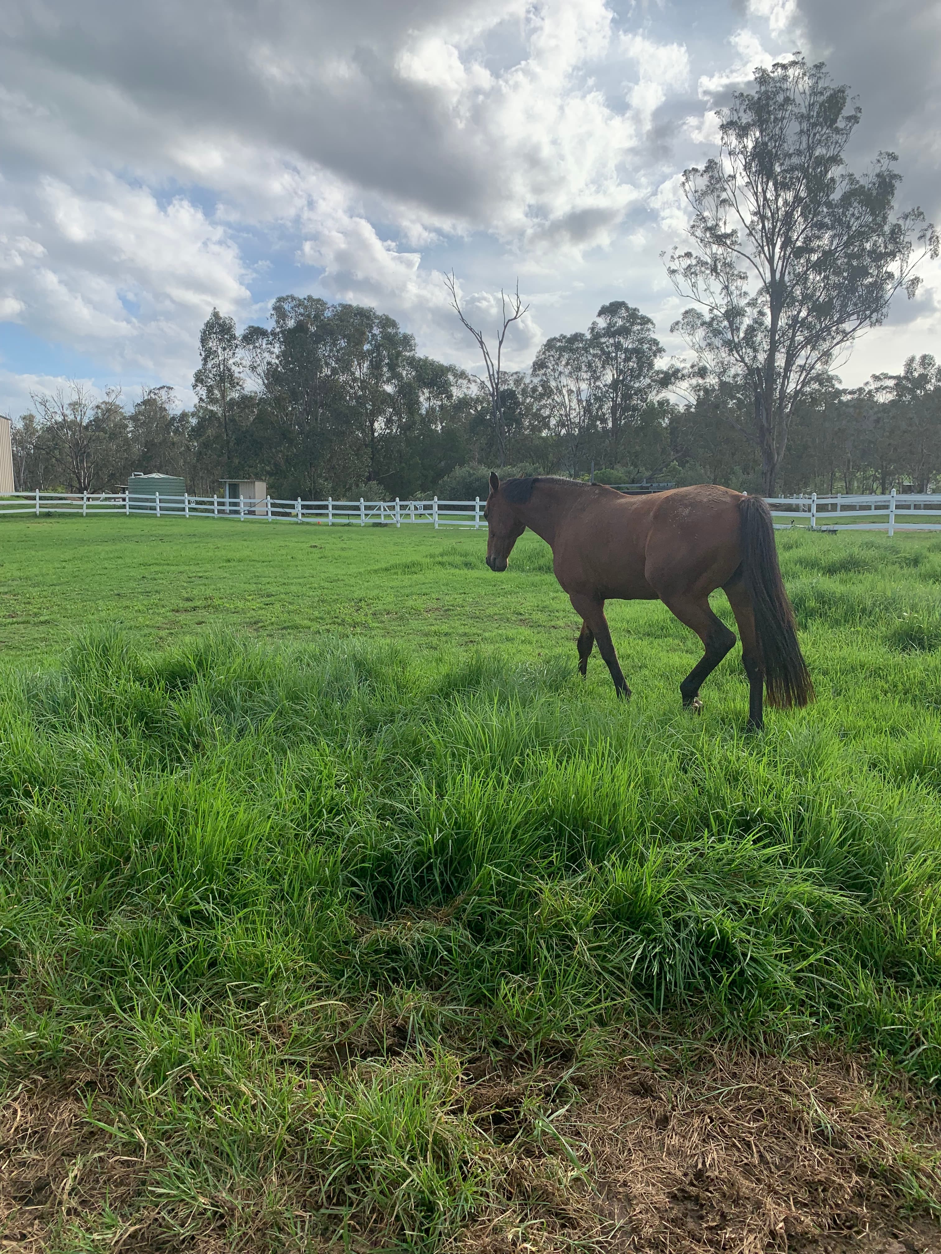 Thumbnail 2 of Valley View Equine